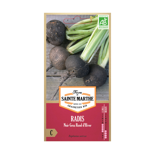 GRAINES RADIS NOIR GROS ROND D'HIVER BIO