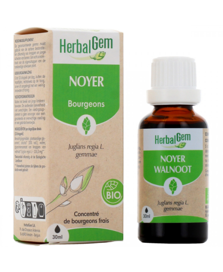 Herbalgem Gemmobase - Noyer bio Flacon compte gouttes - 30 ml