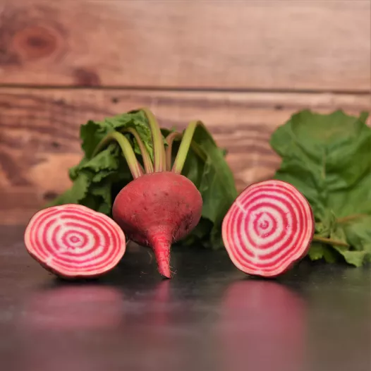 Biologische zaden van Rode biet Chioggia