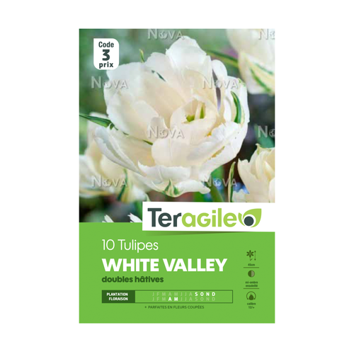 BULBES DE TULIPES 'WHITE VALLEY' DOUBLES HÂTIVES - TERAGILE® - X10