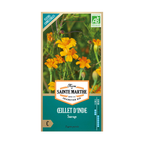 GRAINES OEILLET D´INDE SAUVAGE OU TAGETES PATULA BIO
