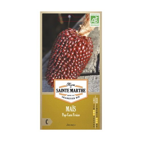 GRAINES MAÏS POP CORN FRAISE BIO