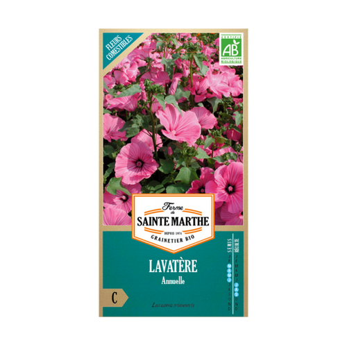 GRAINES LAVATÈRE ANNUEL BIO