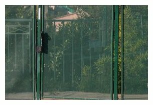 Cloture et barrière amovible pour piscine
