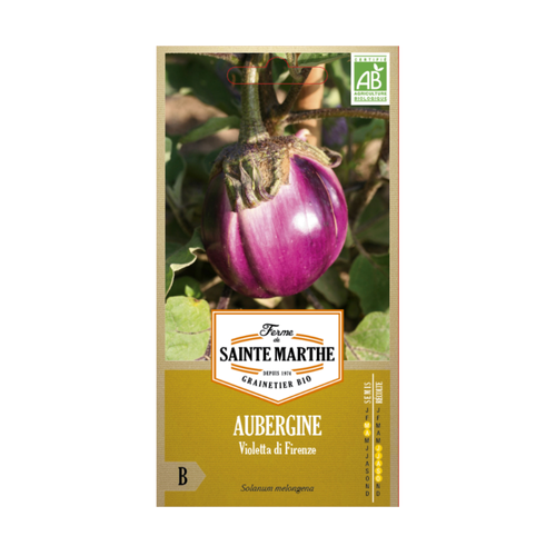 GRAINES AUBERGINE VIOLETTA DI FIRENZE BIO