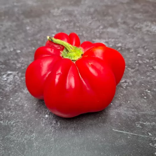 Paprika ronde uit Hongarije | Biologische en reproduceerbare zaden