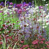 Côté extérieur:Kit Plantation - La barquette de 6 plants