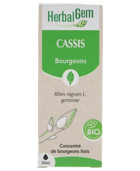 Herbalgem - Cassis bio Flacon compte gouttes - 30 ml