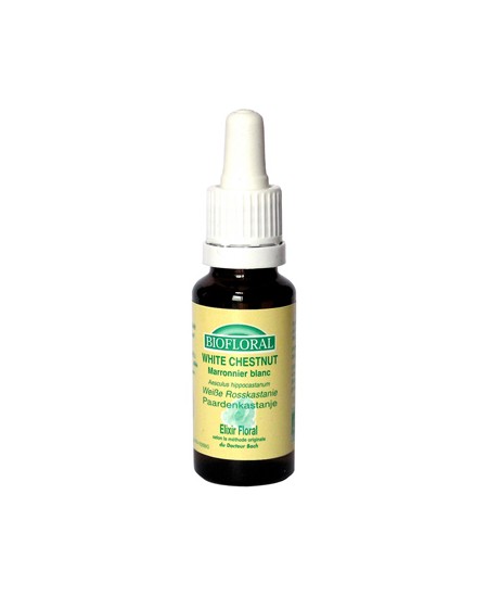 Biofloral - Elixir White Chestnut n° 35 Marronnier blanc - 20 ml