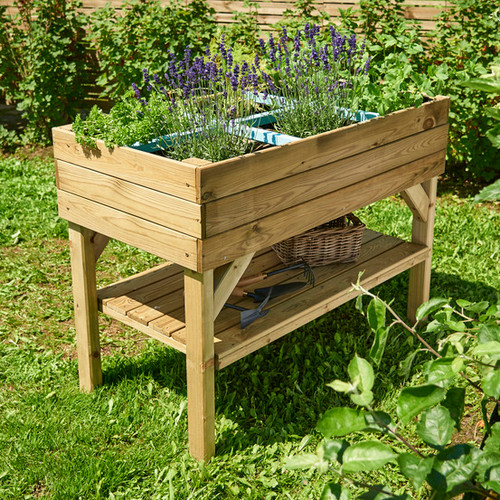 CARRÉ POTAGER PAPRIKA