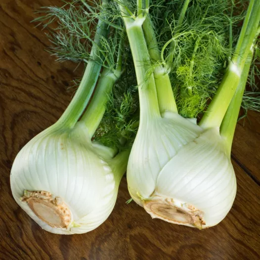 Biologische zaden van Venkel zacht Perfection