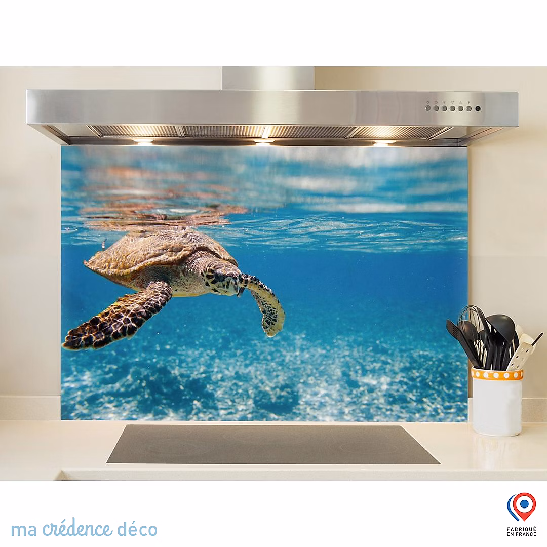 Crédence cuisine fond de hotte Tortue marine aux Seychelles | Alu composite – L 70 cm x H 60 cm – MaCrédenceDéco