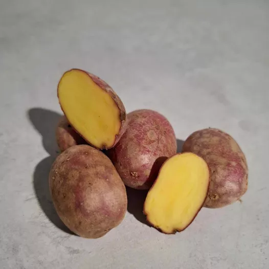 Pomme de terre Valéry - 1kg