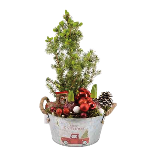 COMPOSITION DE NOËL - POT Ø21CM