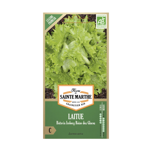 GRAINES LAITUE BATAVIA REINE DES GLACES BIO