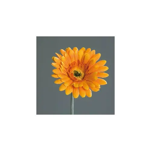 À découvrir pour le jardin：Tige de Gerbera décoratif orange - 56 cm
