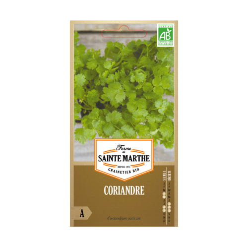 GRAINES CORIANDRE BIO