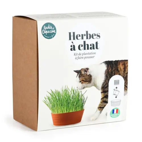 Jardin quotidien:Coffret herbe à chat