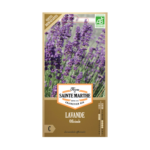 GRAINES LAVANDE OFFICINALE BIO