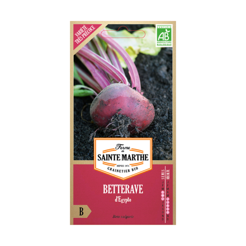 GRAINES BETTERAVE D'ÉGYPTE BIO