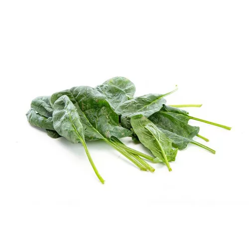 Utile pour le jardin：Epinard bio de France - Prix au kg