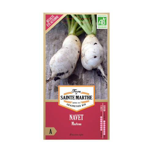 GRAINES NAVET MARTEAU BIO