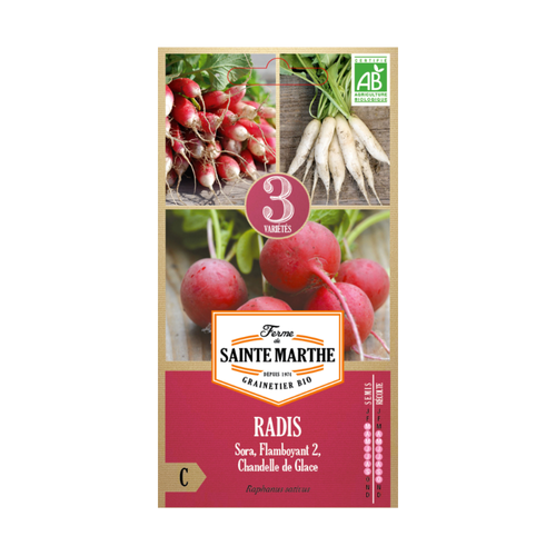 GRAINES RADIS EN MÉLANGE BIO