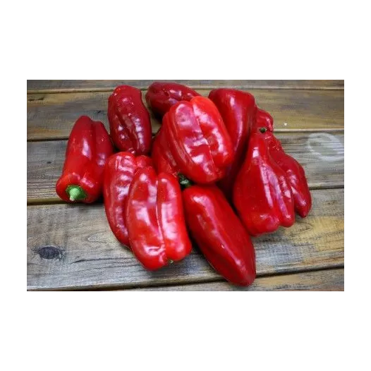 Biologische zaden van Zachte paprika uit Spanje
