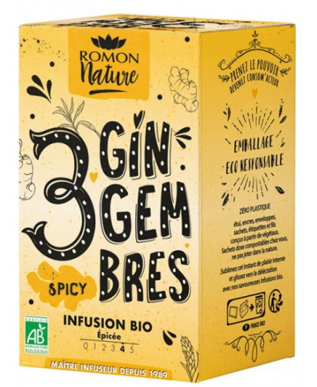 Romon Nature - Infusion plaisir 3 Gingembres bio 16 sachets