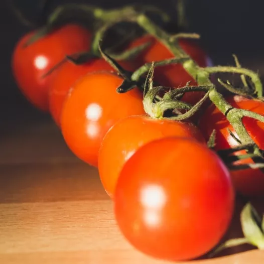 Bio zaden van Tomaat Gardener's delight