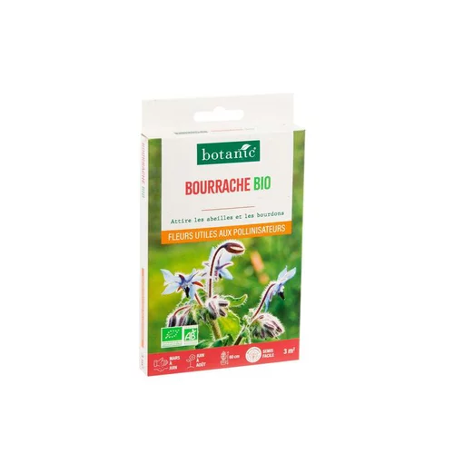 Pour un extérieur accueillant：Bourrache bio botanic® - graines à semer (3 m²)