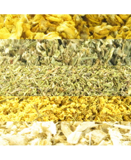 Herboristerie de Paris Tisane Aphone Cordes Vocales 100 gr