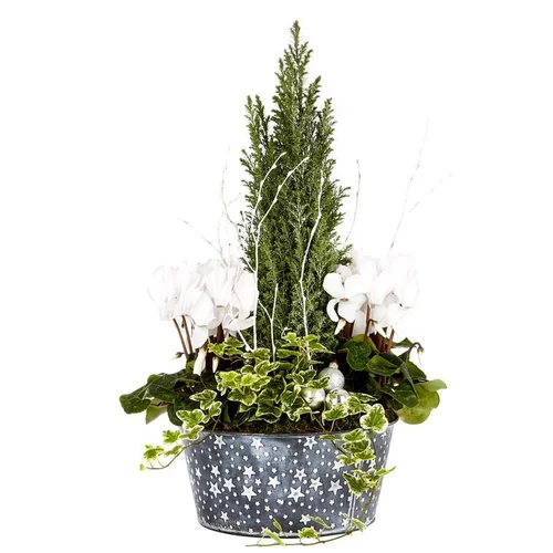 Pour mieux organiser votre jardin：Composition enneigée en coupe zinc étoile - La composition