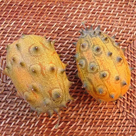 Bioliogische zaden van Keniaanse komkommer Kiwano