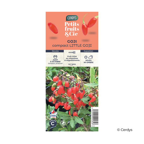 GOJI 'LITTLE GOJI' - POT DE 1,5L