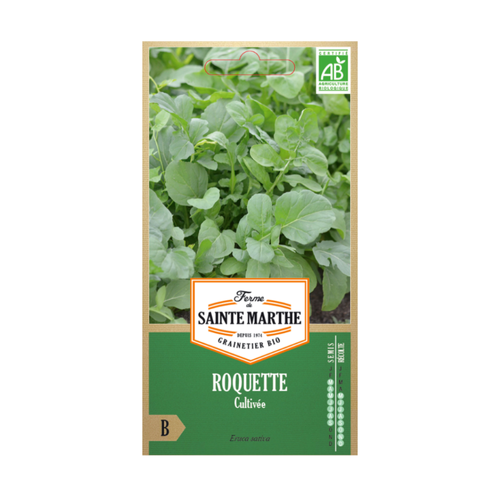 GRAINES ROQUETTE CULTIVÉE BIO