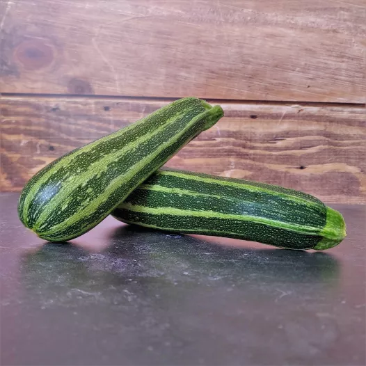 Courgette verte d'Italie | Semences bio et reproductibles