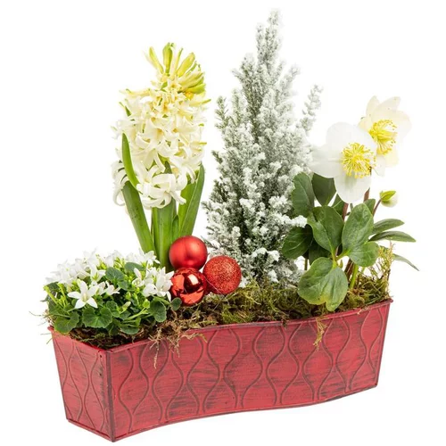Moderne au jardin:Composition de Noël Chemin de Table 25 cm - La coupe en zinc
