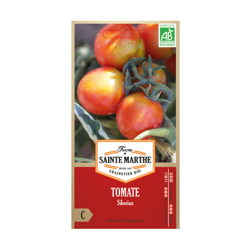 GRAINES TOMATE SIBERIAN BIO