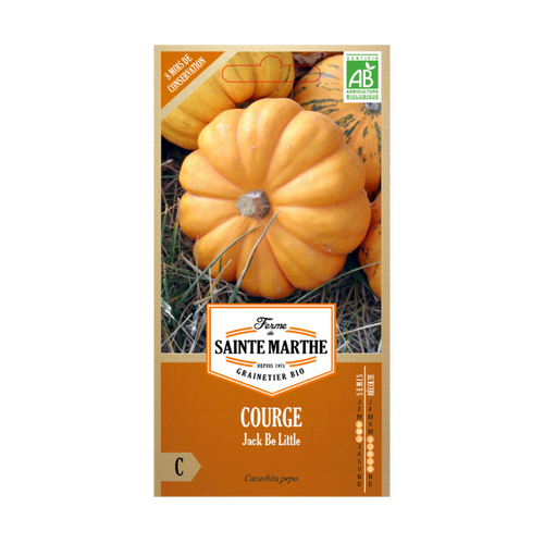 GRAINES COURGE JACK BE LITTLE BIO