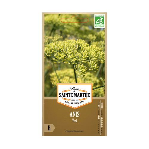 GRAINES ANIS VERT BIO