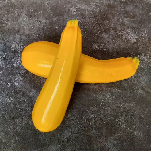 Courgette jaune Gold Rush | Semences bio et reproductibles