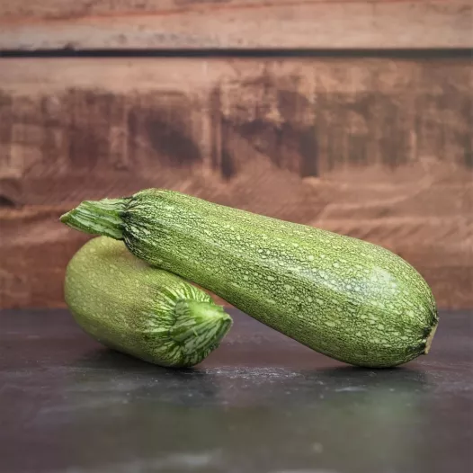 Biologische zaden van Courgette Petite Grise d'Alger