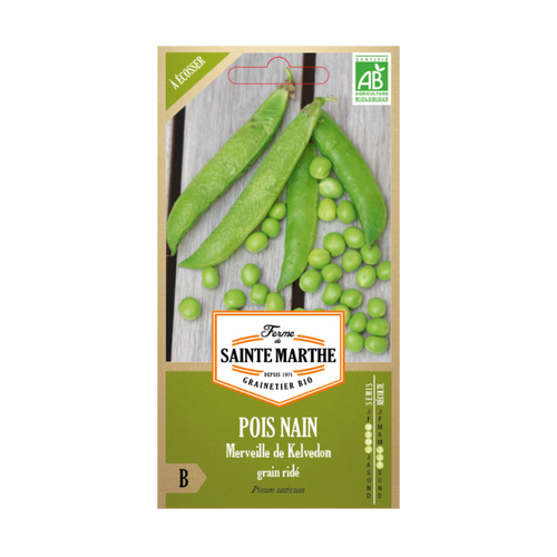 GRAINES POIS NAIN MERVEILLE DE KELVEDON À GRAIN RIDE A ECOSSER BIO - 10G