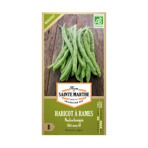 GRAINES HARICOT À RAMES NECKARKONIGIN MANGETOUT BIO - 10G