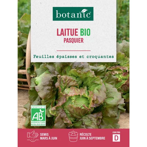 Sélection jardin：Graines de laitue pasquier bio botanic® - graines pasquier semer
