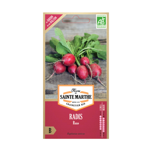 GRAINES RADIS RAXE BIO