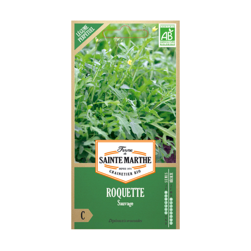 GRAINES ROQUETTE SAUVAGE BIO