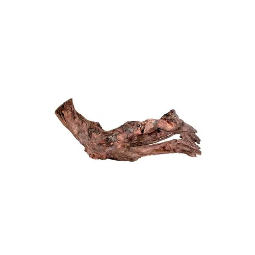 Votre allié à l’extérieur：Racine Mangrove en bois naturel marron taille S 15/25 cm