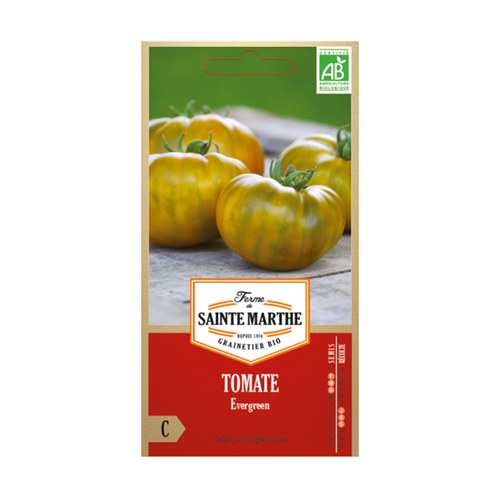 GRAINES TOMATE EVERGREEN BIO